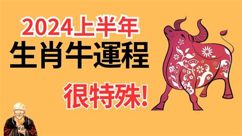 屬牛運勢|2024屬牛運勢、屬牛今年幾歲、屬牛幸運色、財位